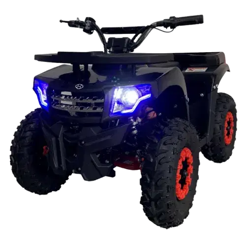 Extreme Performance Electric Quad Bike