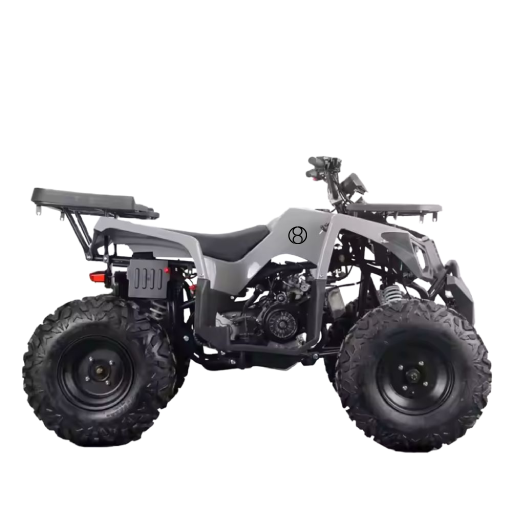 High-Power Electric Quad Bike