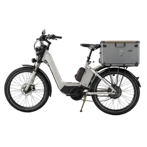 Cargo Bike
