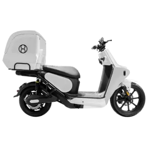 Refrigerated Cargo Scooter