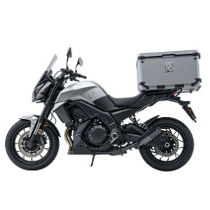 Electric Delivery Bike