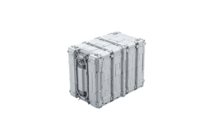 Lithium-Sulfur Battery