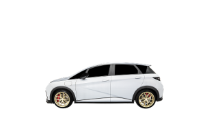 Electric Cars