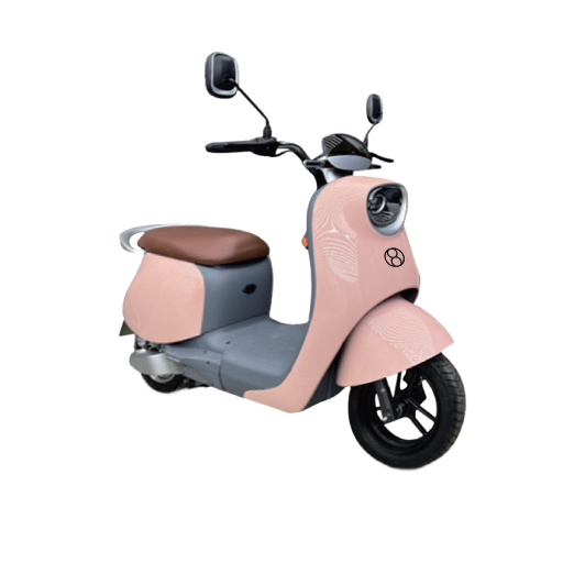 High-Capacity EV Scooter