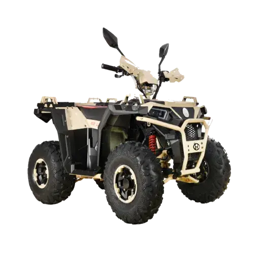 Heavy-Speed Electric Quad Bike