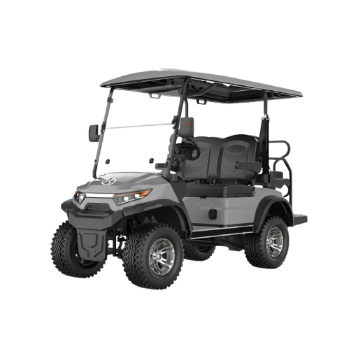 Luxury Electric Golf Cart