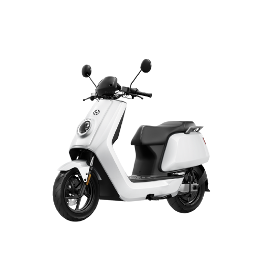 Quick Charge Delivery EV Scooter