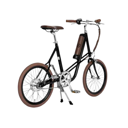 Electric Classic Cycle
