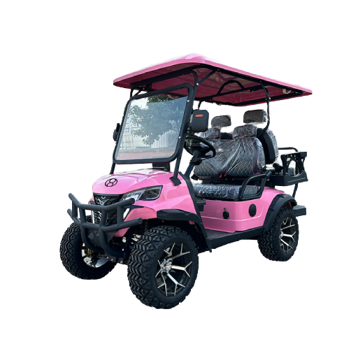 Dirt Track Electric Buggies