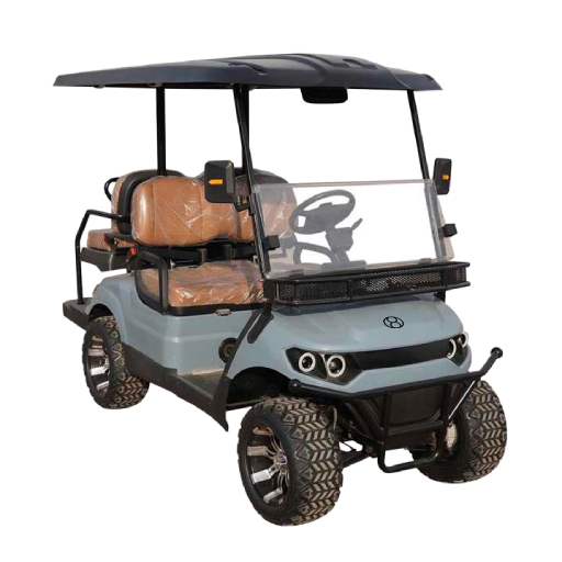 Mountain Explorer Electric Buggies