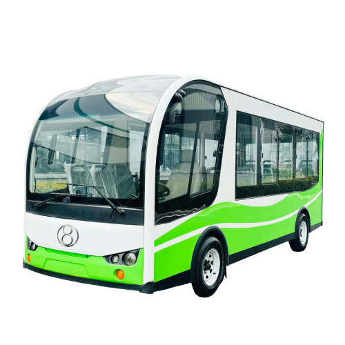 Mini Electris Bus