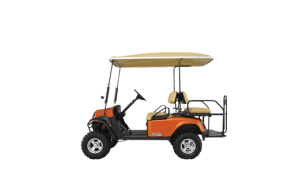Electric Buggies