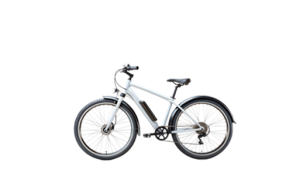 Electric Cycles