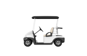 Electric Golf Cart