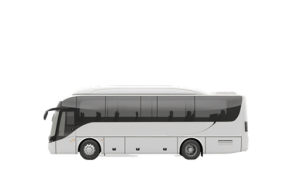 Buses