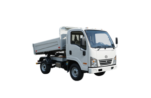 Mini Tipper Truck