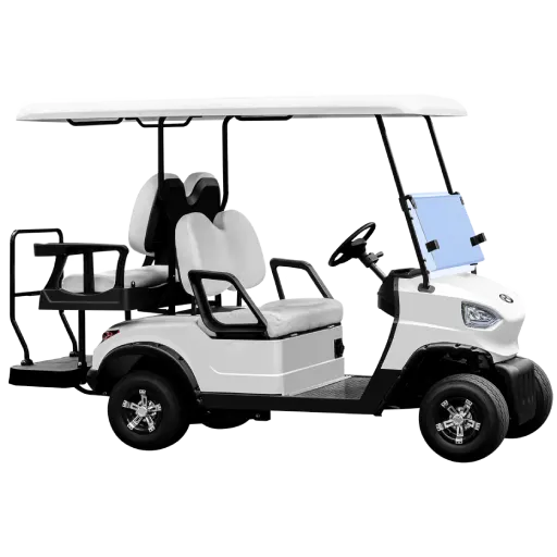 Eco-Friendly Electric Buggies