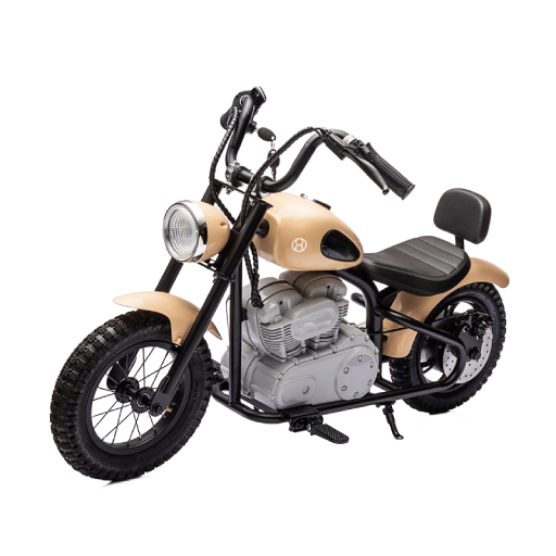 Electric Motor Bikes