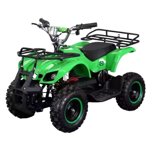 Electric Quad Bike